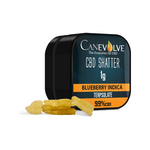 Load image into Gallery viewer, Canevolve 99% CBD Shatter - 1g