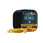Load image into Gallery viewer, Canevolve 99% CBD Shatter - 1g