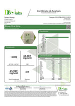 Load image into Gallery viewer, Elevar Leafs 125mg CBD Oral Strips