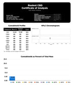 Load image into Gallery viewer, Realest CBD 1000mg Broad Spectrum CBD Shatter (BUY 1 GET 1 FREE)